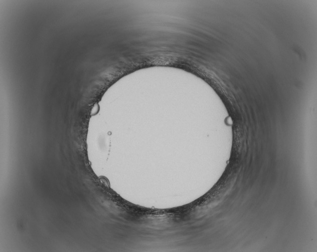 X0000111600307200908131409