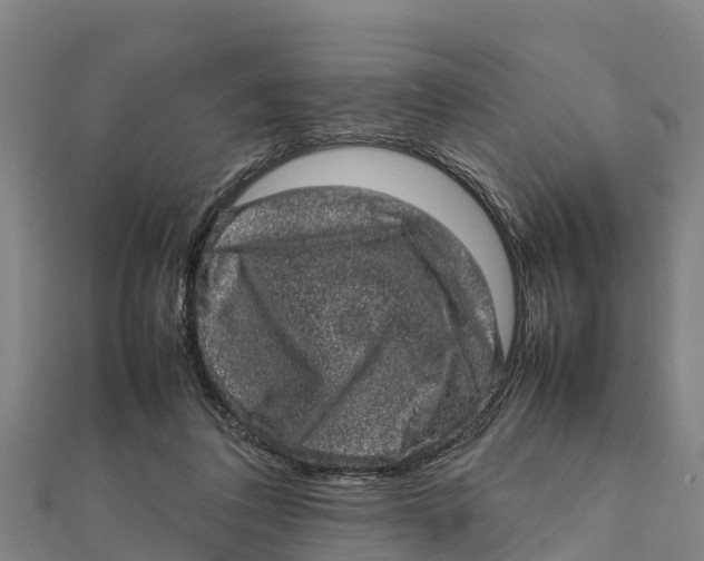 X0000111600308200908131409