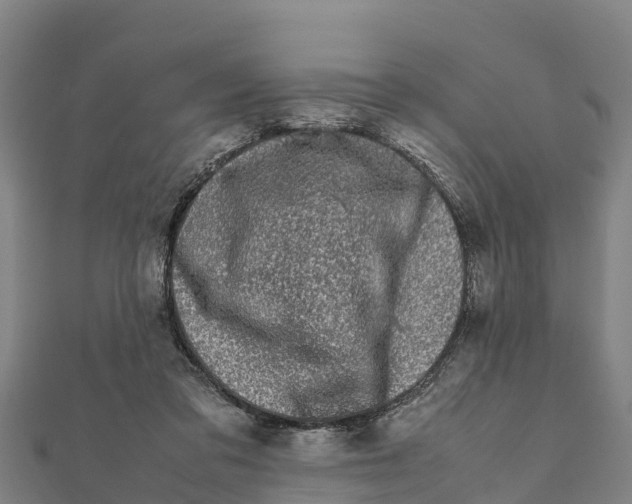 X0000111600309200908131409