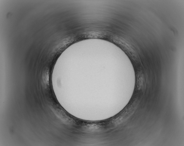 X0000111600310200908131409