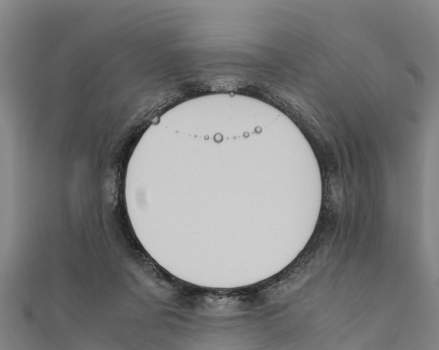 X0000111600311200908131409