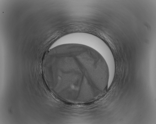 X0000111600313200908131409