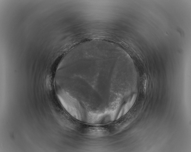X0000111600316200908131409