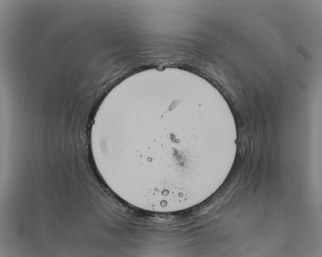X0000111600317200908131409