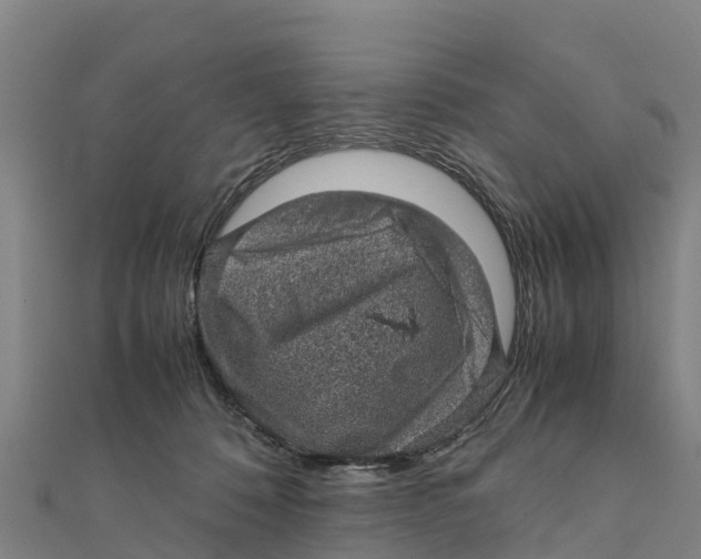 X0000111600320200908131409