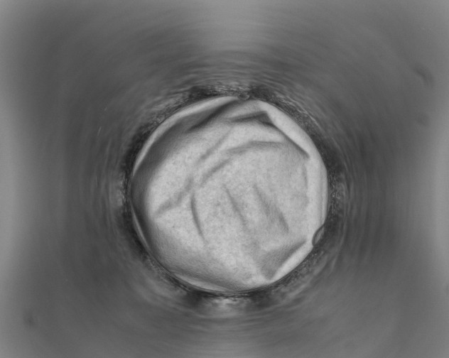 X0000111600323200908131409