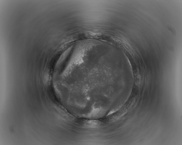 X0000111600324200908131409