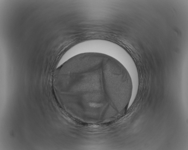 X0000111600325200908131409
