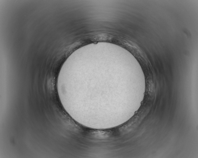 X0000111600326200908131409