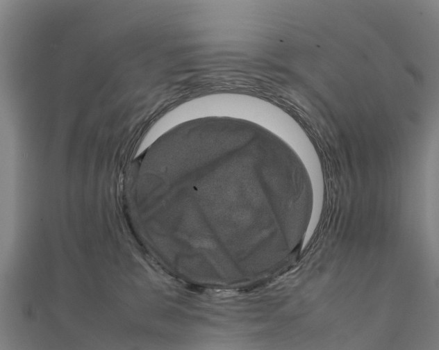 X0000111600327200908131409
