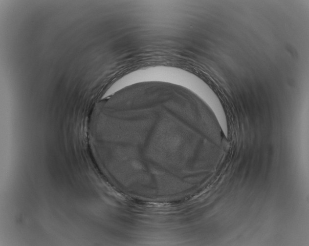 X0000111600328200908131409