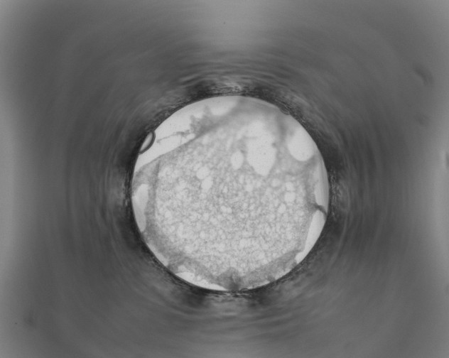 X0000111600331200908131409