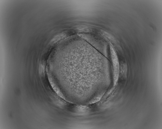 X0000111600333200908131409