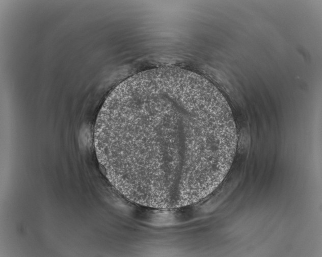 X0000111600335200908131408