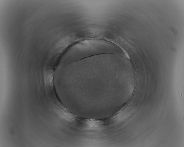 X0000111600336200908131408