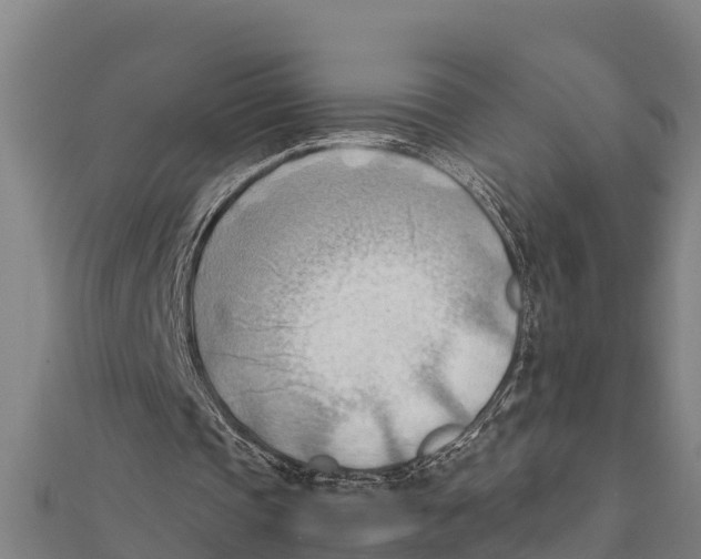 X0000111600337200908131408