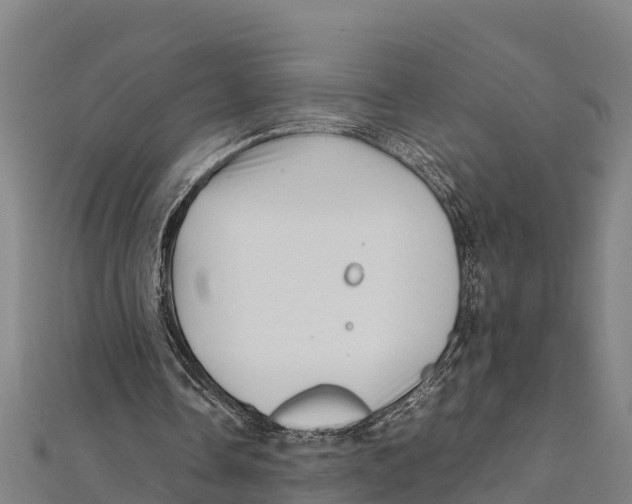 X0000111600338200908131408