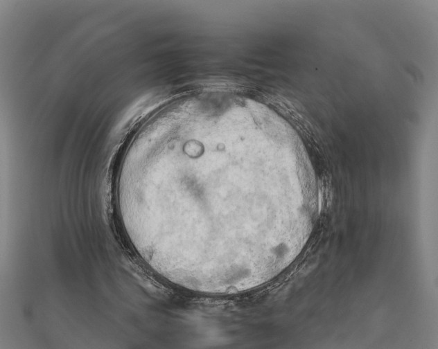 X0000111600339200908131408