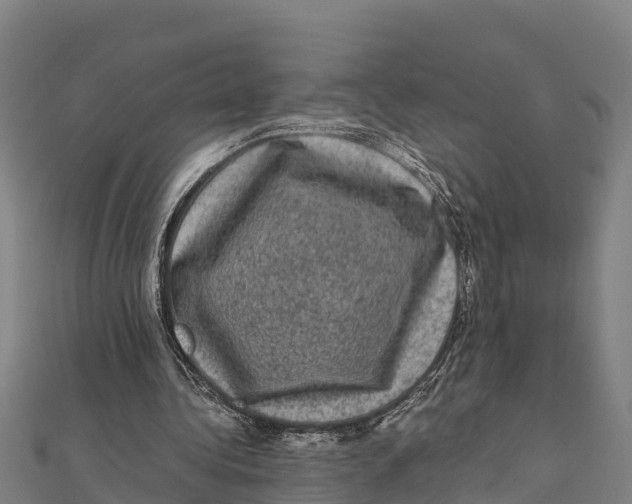 X0000111600340200908131408