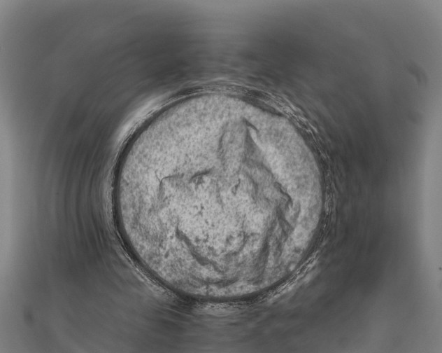 X0000111600341200908131408