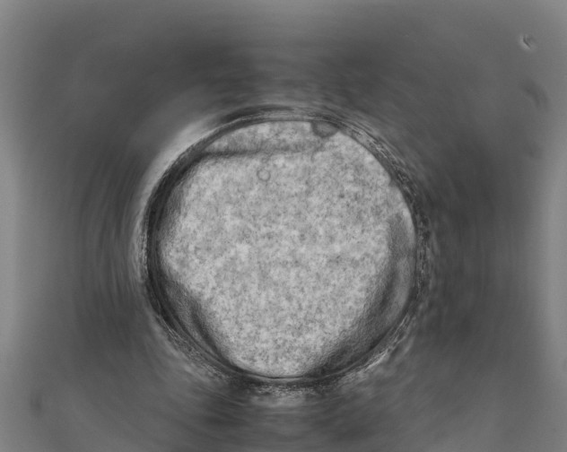 X0000111600343200908131408