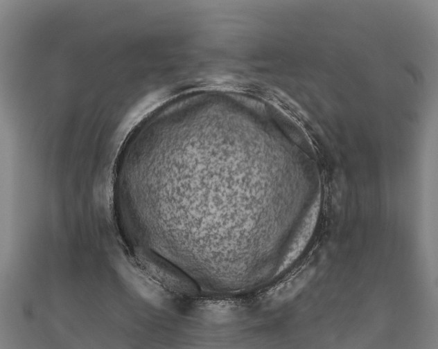 X0000111600344200908131408