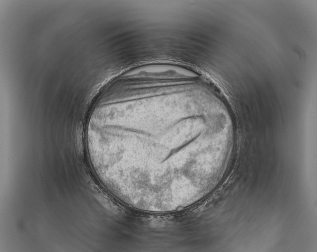 X0000111600345200908131408