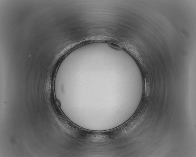X0000111600348200908131408