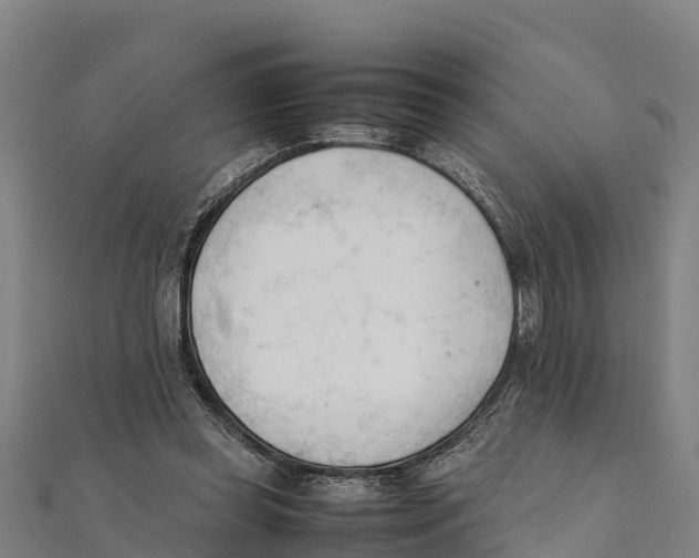 X0000111600349200908131408