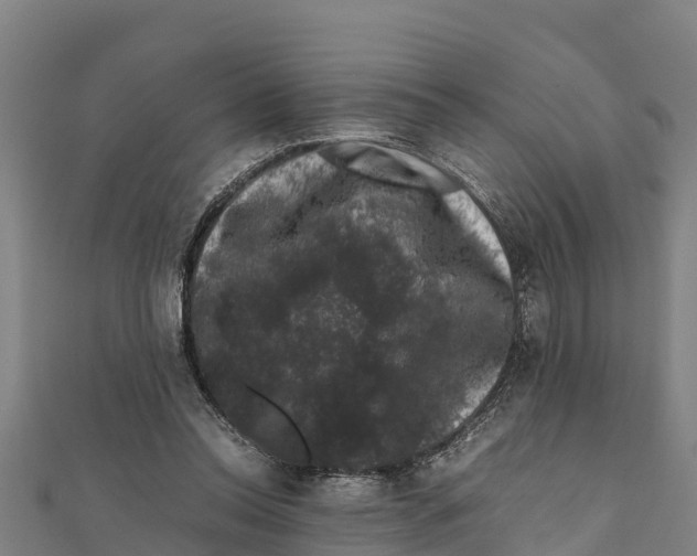 X0000111600350200908131408