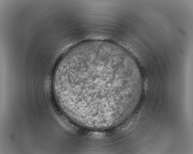 X0000111600352200908131408