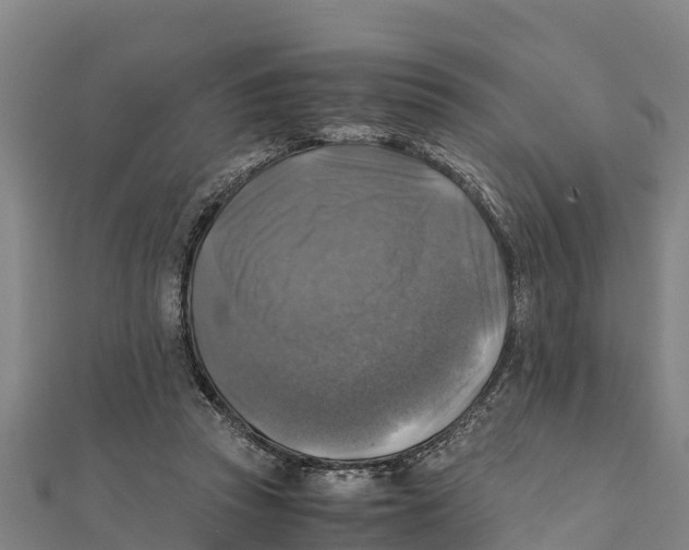 X0000111600353200908131408