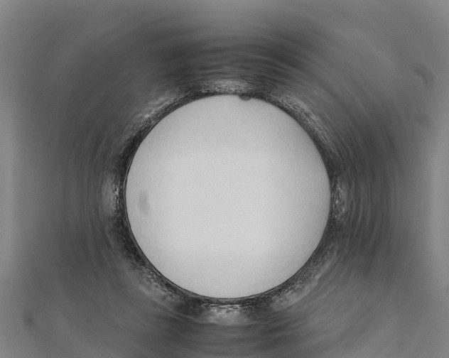 X0000111600355200908131408