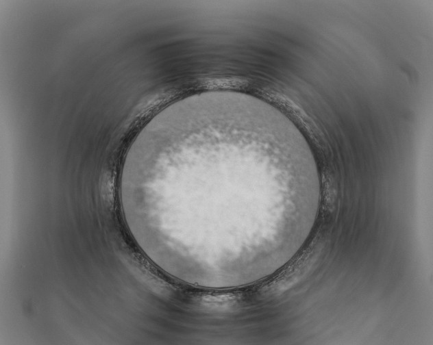 X0000111600357200908131408
