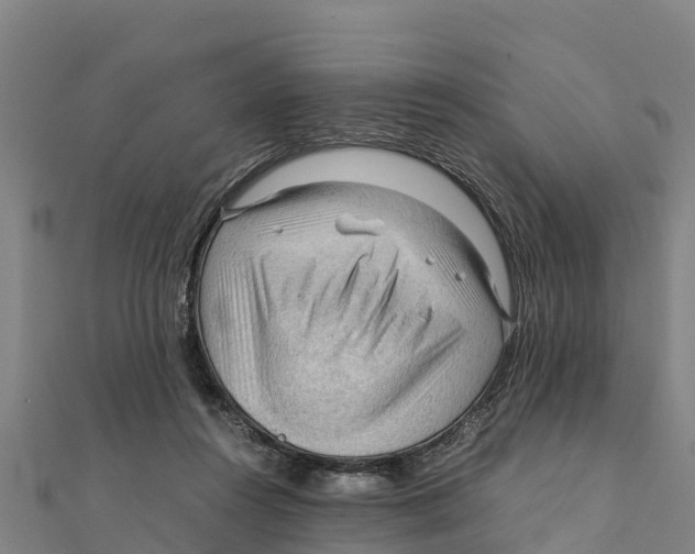 X0000111600360200908131408