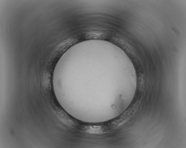 X0000111600361200908131408