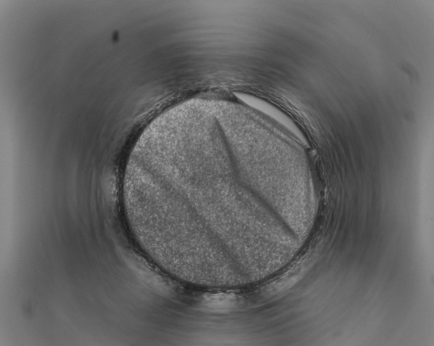 X0000111600362200908131408