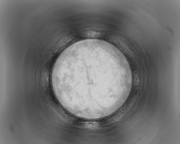 X0000111600363200908131408