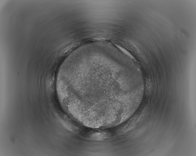 X0000111600364200908131408