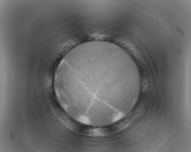 X0000111600365200908131408