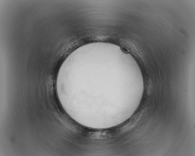 X0000111600366200908131408