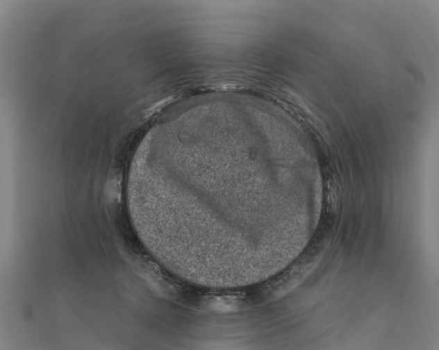 X0000111600368200908131408