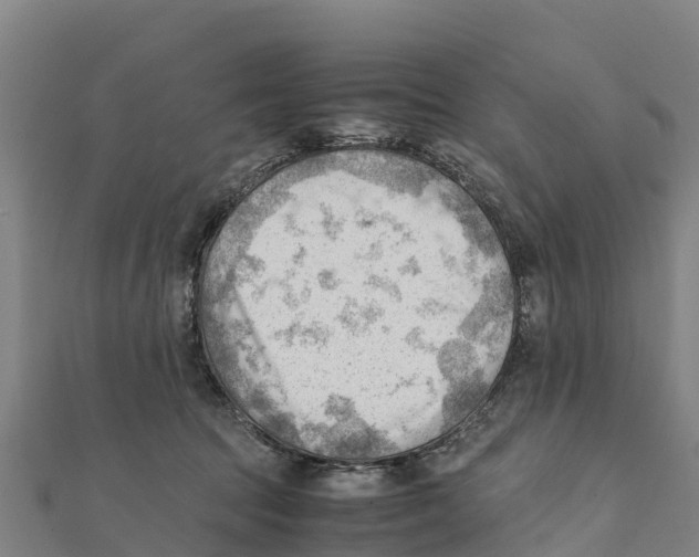 X0000111600369200908131408