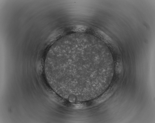 X0000111600370200908131408