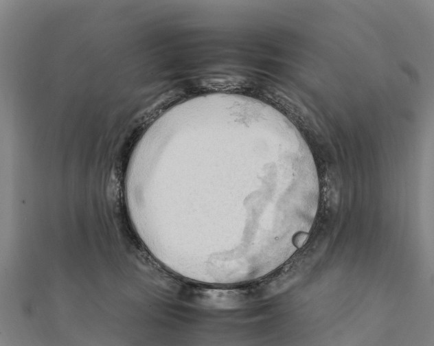 X0000111600371200908131408