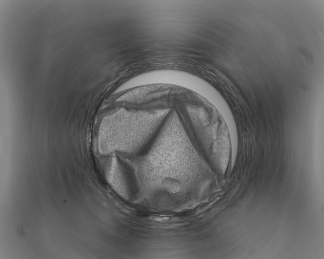 X0000111600372200908131408