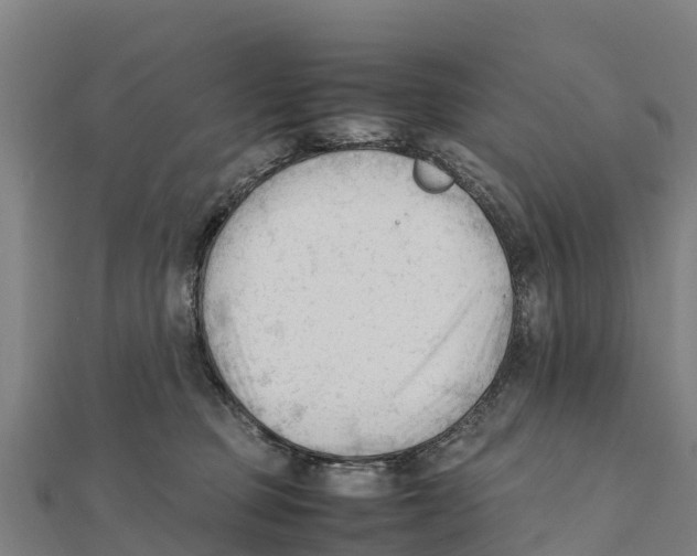 X0000111600373200908131408