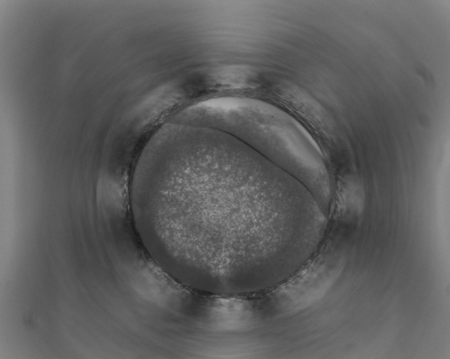 X0000111600376200908131408