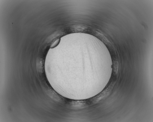 X0000111600378200908131408