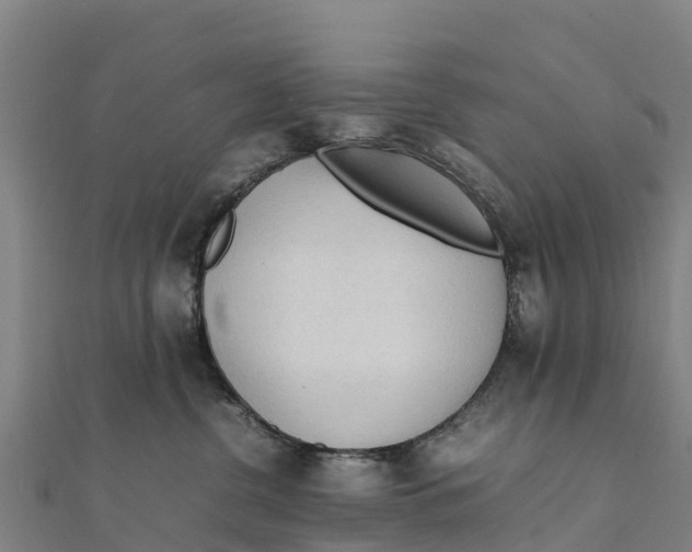 X0000111600380200908131408